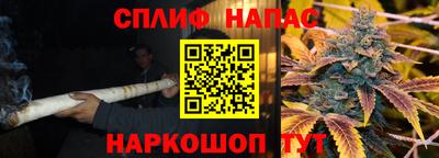 сатива Дубна