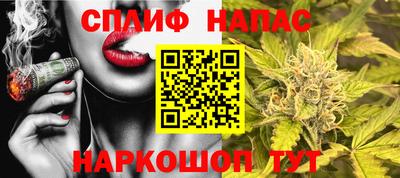 сатива Дубна