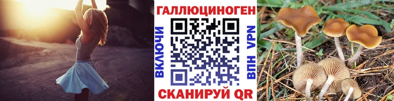 Галлюциногенные грибы ЛСД  Нурлат 